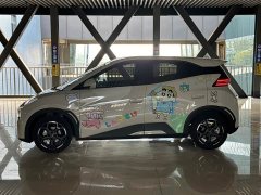 BYD Seagull 305km Freedom Edition - ფოტო 11
