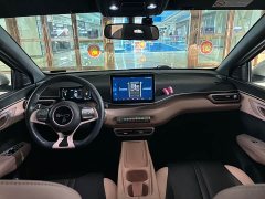 BYD Seagull 305km Freedom Edition - ფოტო 13