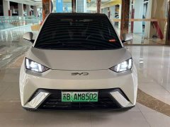 BYD Seagull 305km Freedom Edition - ფოტო 2