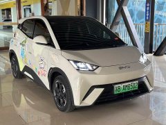 BYD Seagull 305km Freedom Edition - ფოტო 3