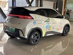 BYD Seagull 305km Freedom Edition - ფოტო 4