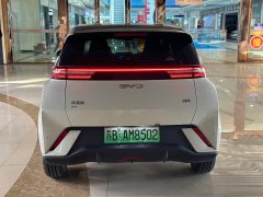BYD Seagull 305km Freedom Edition - ფოტო 5