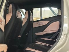 BYD Seagull 305km Freedom Edition - ფოტო 8
