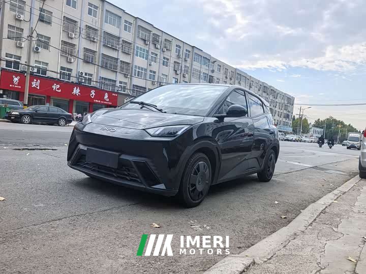 BYD Seagull 305km Vitality Edition - ავტომობილი ჩინეთიდან