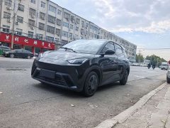 BYD Seagull 305km Vitality Edition - ფოტო 1