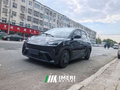 2025 BYD Seagull 305km Vitality Edition - автомобиль из Китая