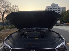 Dongfeng Mengshi M817 Pro - ფოტო 13