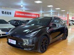 Tesla Model Y Long Range All-Wheel Drive - photo 1