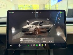 Tesla Model Y Long Range All-Wheel Drive - photo 8