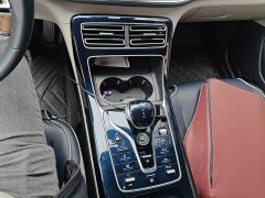 BYD Qin Plus DM-i 55KM Flagship - photo 10