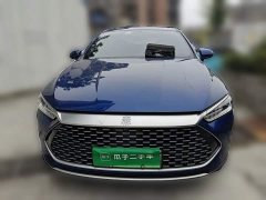 BYD Qin Plus DM-i 55KM Flagship - photo 2