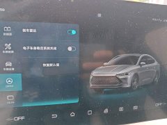 BYD Qin Plus DM-i 55KM Flagship - photo 20
