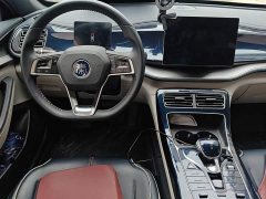 BYD Qin Plus DM-i 55KM Flagship - photo 5
