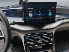 BYD Qin Plus DM-i 55KM Flagship - photo 9