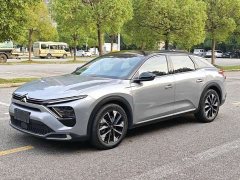 Dongfeng Versailles C5 X 1.6T Unstoppable Tiger Year Special Edition - photo 3