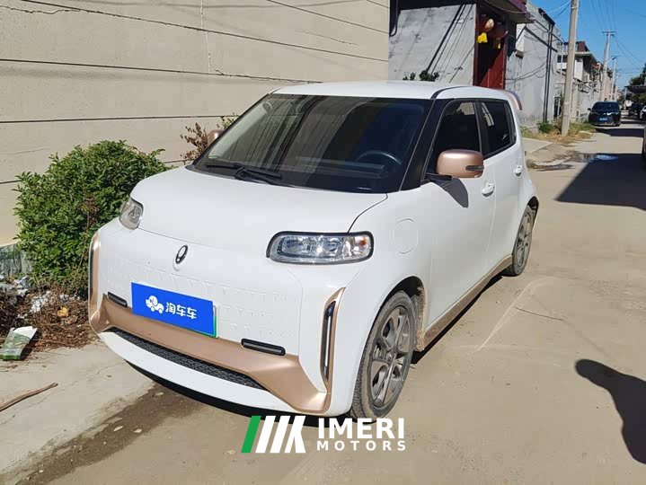 ORA White Cat Little Wildcat 360km Luxury Ternary Lithium - car from China