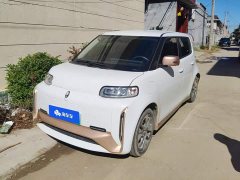 ORA White Cat Little Wildcat 360km Luxury Ternary Lithium - photo 1