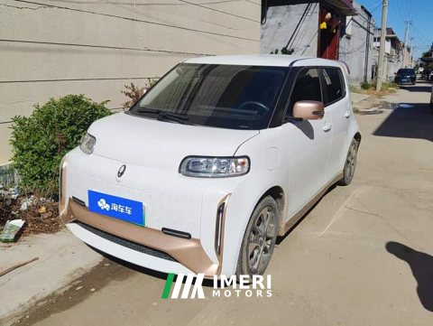 2022 ORA White Cat Little Wildcat 360km Luxury Ternary Lithium - ავტომობილი ჩინეთიდან