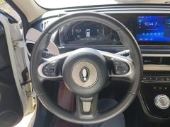ORA White Cat Little Wildcat 360km Luxury Ternary Lithium - photo 15