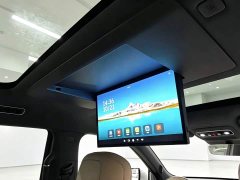 Wuling Huajing S 235km AWDDeluxe - ფოტო 6