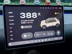 Nio Firefly Luminous Edition - ფოტო 8