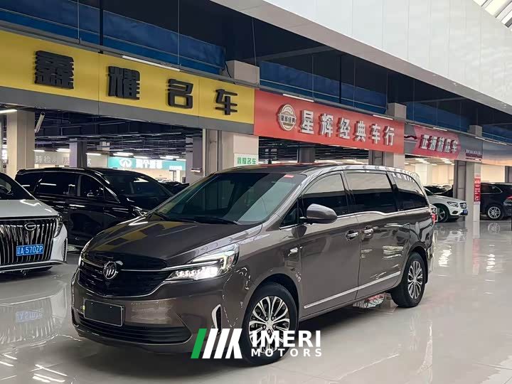 Buick GL8 Land Business Class 652T Luxury - car from China