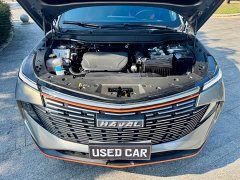 Haval Divine Beast 1.5T Smart Enjoy Edition - ფოტო 20