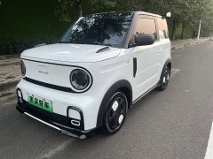 Geely Panda 200km Panda Kart - ფოტო 1