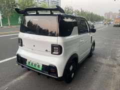 Geely Panda 200km Panda Kart - ფოტო 11