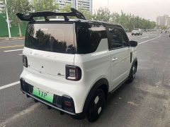 Geely Panda 200km Panda Kart - ფოტო 16