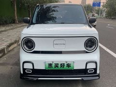 Geely Panda 200km Panda Kart - ფოტო 2