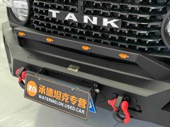 Tank 300 Off-Road Edition 2.0T Conqueror - ფოტო 4
