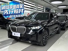 BMW X5 xDrive 40Li M Sport Package - photo 1