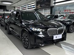 BMW X5 xDrive 40Li M Sport Package - photo 3