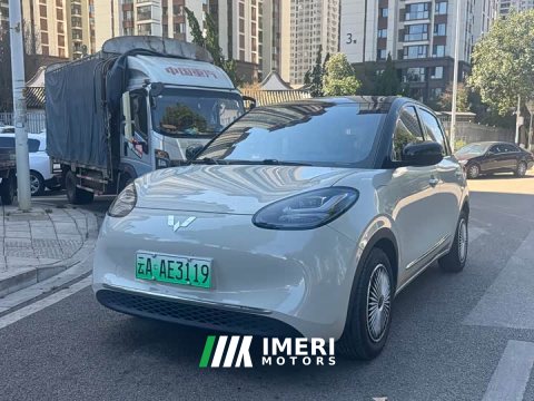 2024 Wuling Binguo 333km Joy Edition - car from China