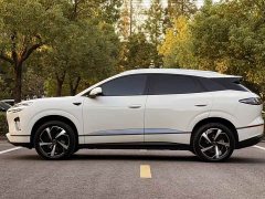 BYD Sealion 06 EV 605 Pilot Plus - ფოტო 8