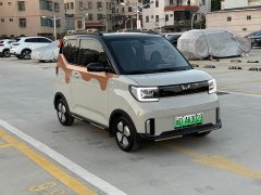 Wuling Hongguang MINIEV GAMEBOY 300km Fun Edition LFP Battery - photo 3