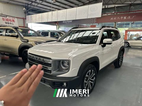 2025 Great Wall Dachshund 1.5T DCT Border Collie Edition - ავტომობილი ჩინეთიდან
