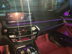 BMW 5 Series 530Li Luxury M Sport Package - photo 13