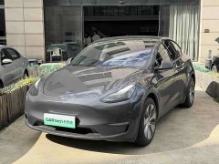 Tesla Model Y Long Range All-Wheel Drive - ფოტო 1