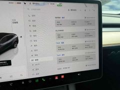 Tesla Model Y Long Range All-Wheel Drive - ფოტო 10