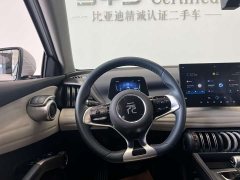 BYD Yuan Plus Champion Edition 510KM Leading - photo 6