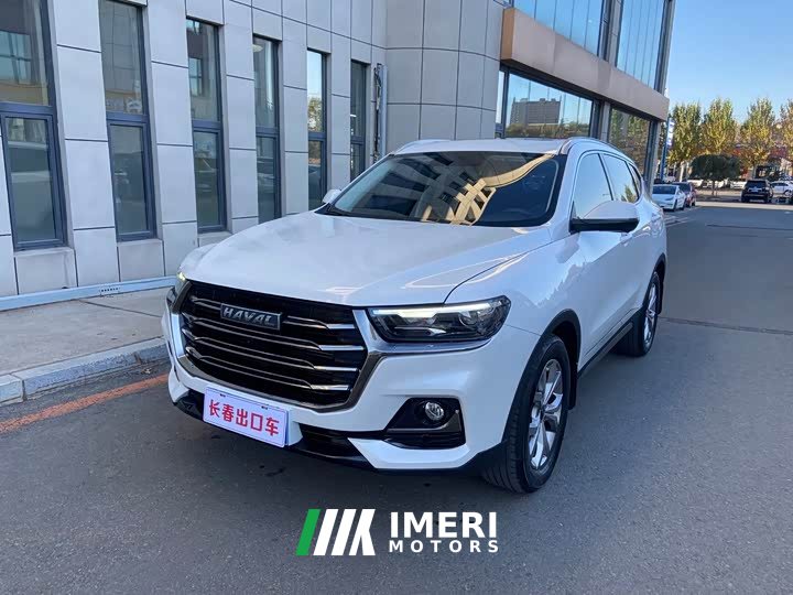 Haval H6 1.5T Automatic Champion Edition - car from China