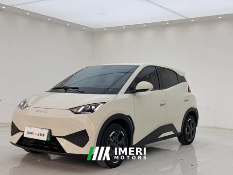 2025 BYD Seagull Smart Drive 405km Freedom Edition - автомобиль из Китая