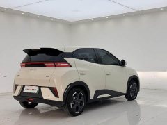 BYD Seagull Smart Drive 405km Freedom Edition - ფოტო 16