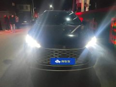 BYD Tang DM-i Honor Edition 200KM Flagship - ფოტო 2
