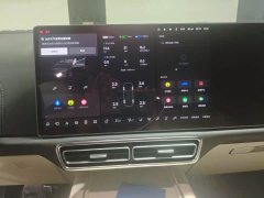 Li Auto L9 Max - ფოტო 7