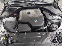 BMW 3 Series 320Li M Sport Package - ფოტო 16