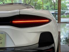 McLaren GT 4.0T Standard - ფოტო 15