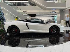 McLaren GT 4.0T Standard - ფოტო 16